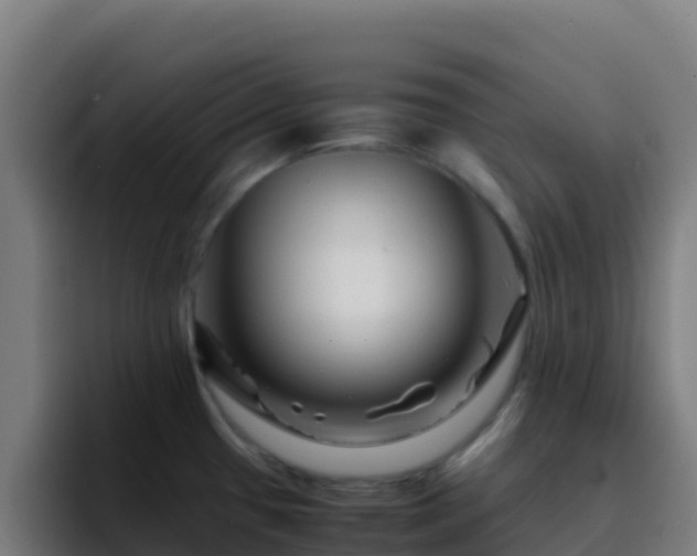 X0000094931433200712061120