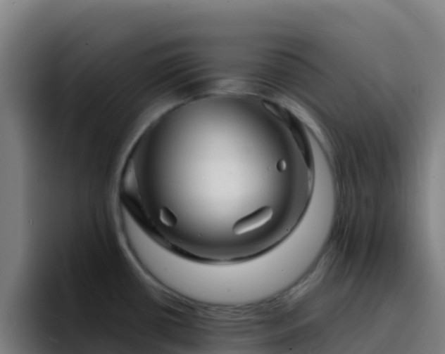 X0000094931434200712061120