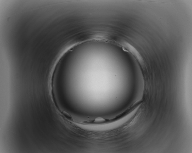 X0000094931435200712061120