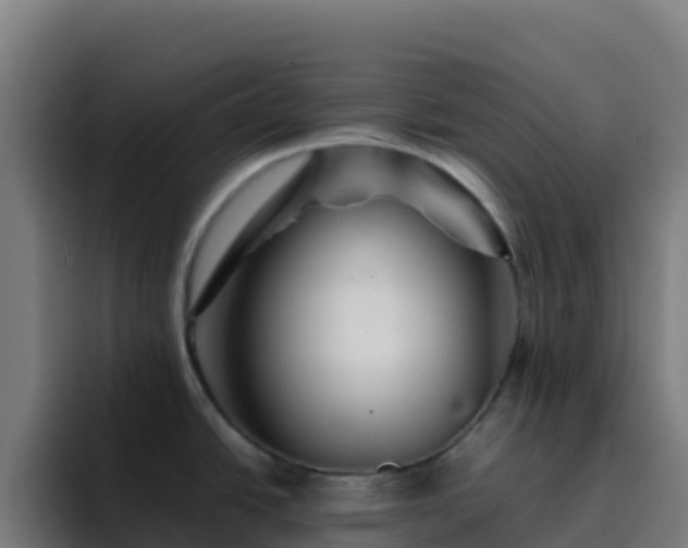 X0000094931438200712061120