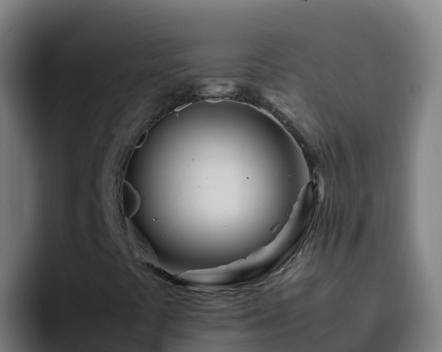 X0000094931441200712061119
