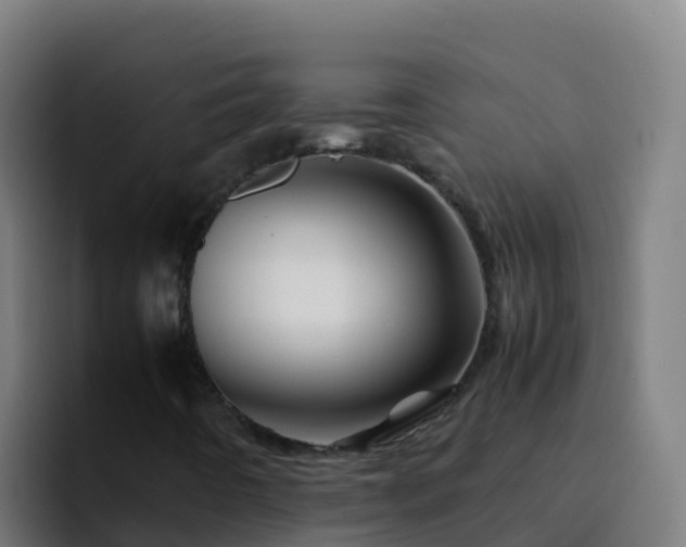 X0000094931442200712061119