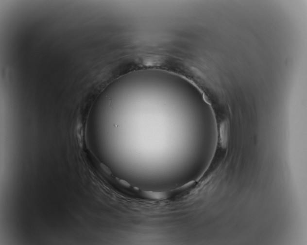 X0000094931443200712061119