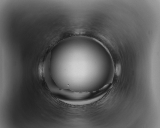 X0000094931444200712061119