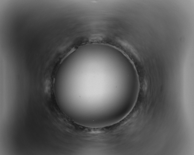 X0000094931445200712061119