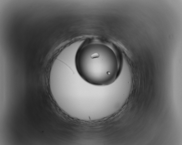 X0000094931448200712061119