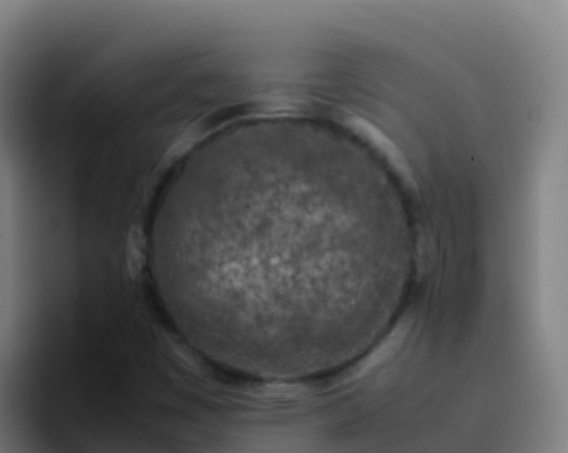X0000094931449200712061119