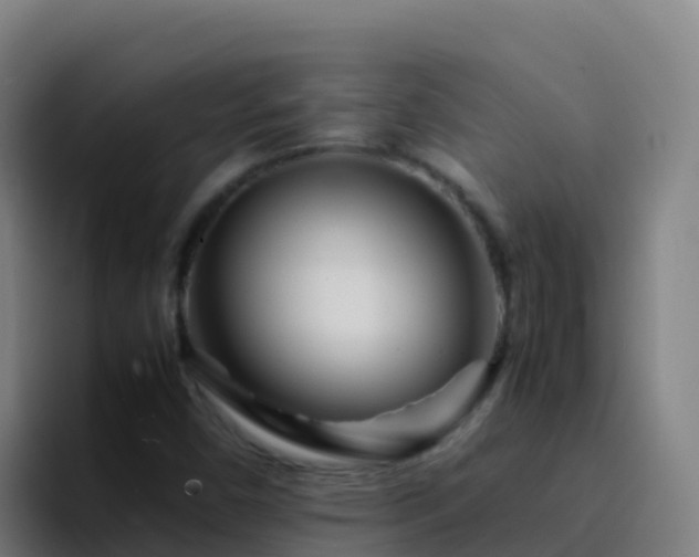 X0000094931450200712061119