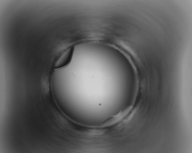 X0000094931451200712061119