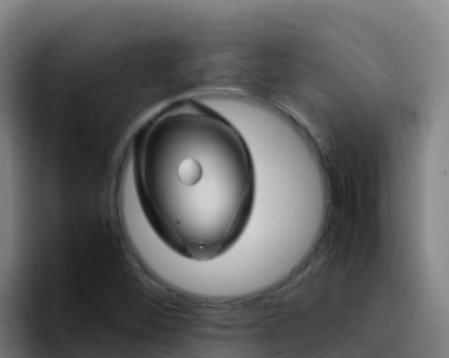 X0000094931452200712061119