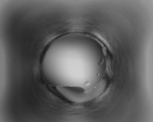 X0000094931453200712061119