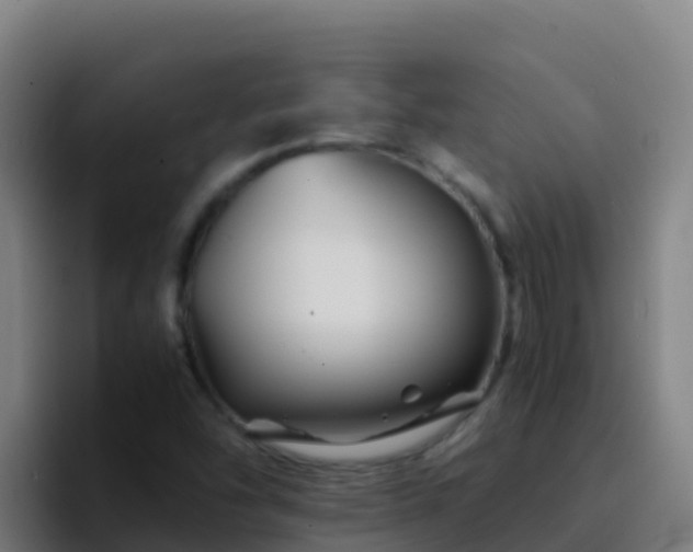 X0000094931454200712061119