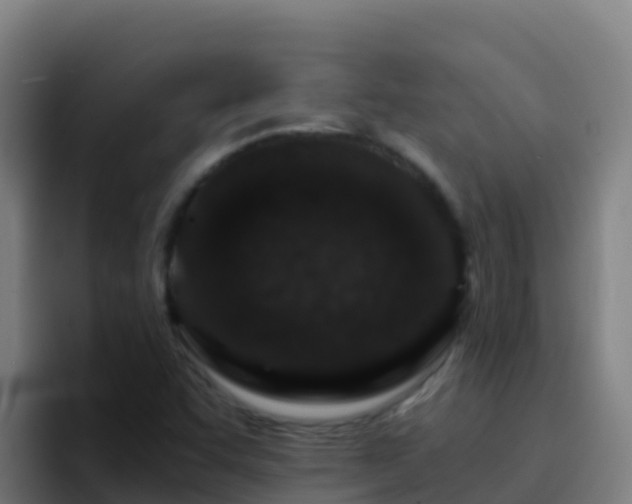X0000094931455200712061119
