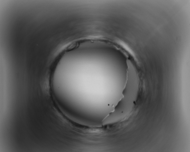 X0000094931456200712061119