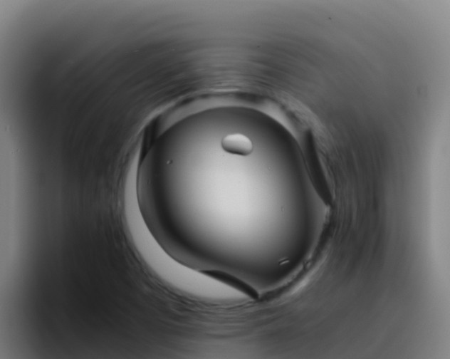 X0000094931457200712061119