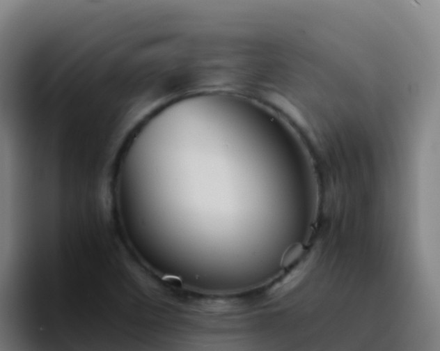 X0000094931458200712061119
