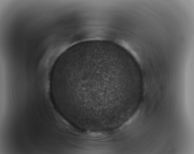 X0000094931459200712061119