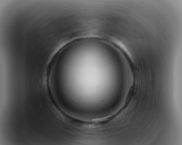 X0000094931460200712061119