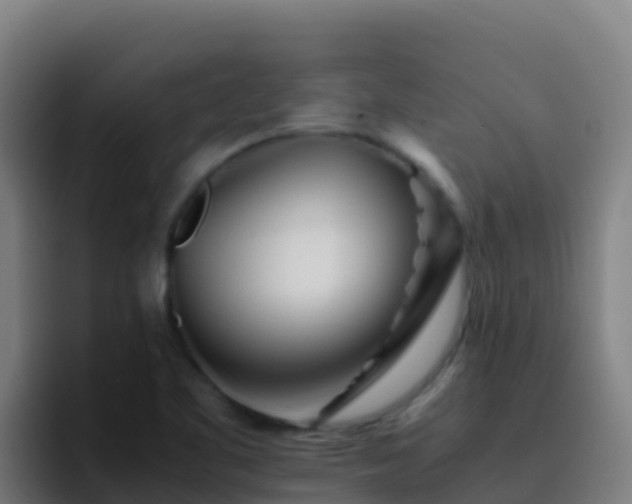 X0000094931461200712061119
