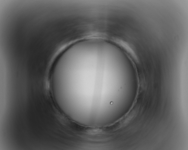 X0000094931462200712061119