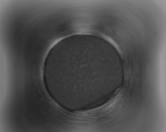 X0000094931463200712061119