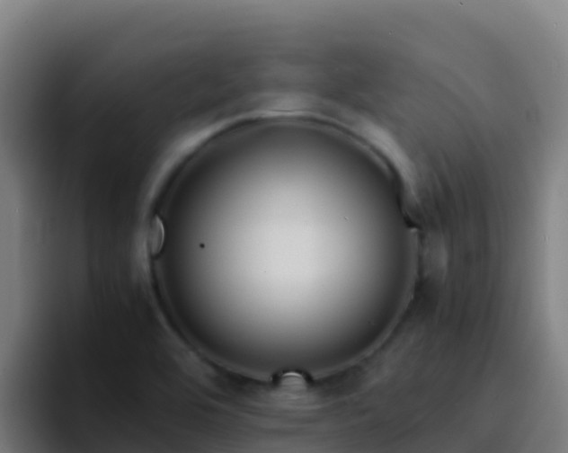 X0000094931464200712061119