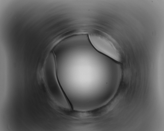 X0000094931465200712061119