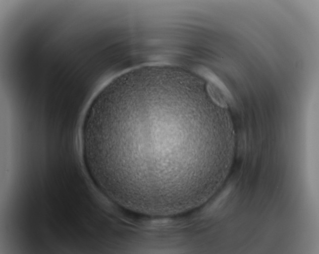 X0000094931467200712061119