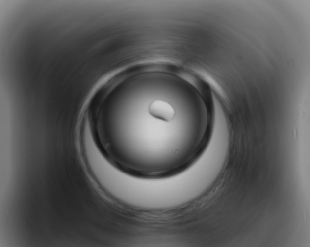 X0000094931468200712061119