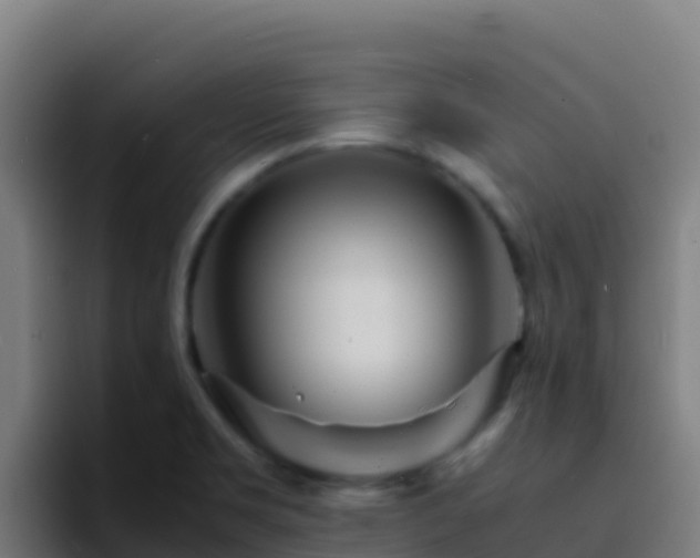 X0000094931469200712061119