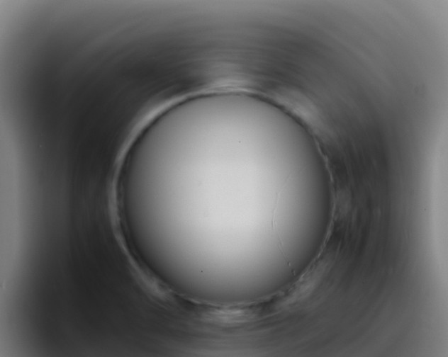 X0000094931470200712061119