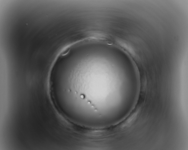 X0000094931471200712061119