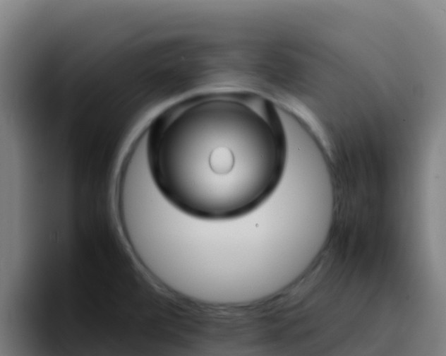 X0000094931472200712061119
