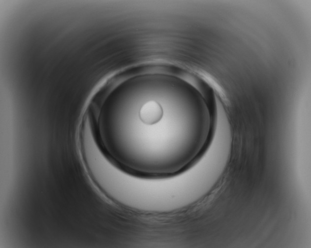X0000094931476200712061119