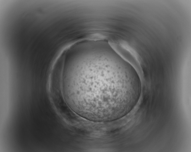 X0000094931477200712061119