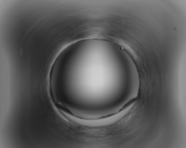 X0000094931479200712061119