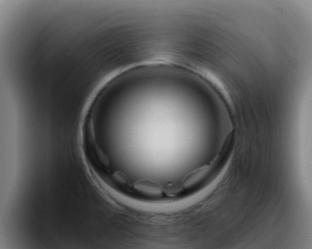 X0000094931480200712061119