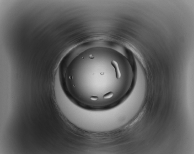 X0000094931481200712061119