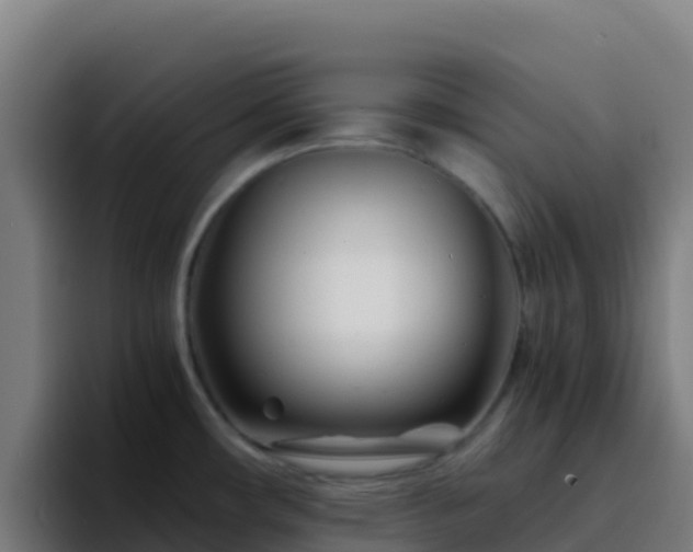 X0000094931482200712061119