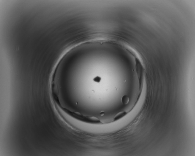 X0000094931483200712061119