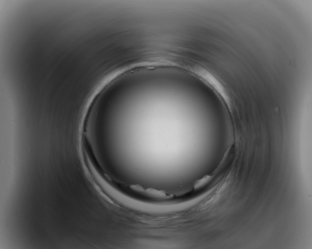 X0000094931485200712061119