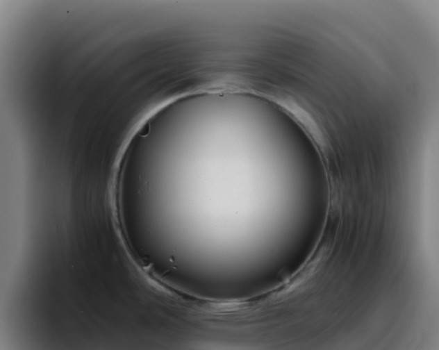 X0000094931486200712061119