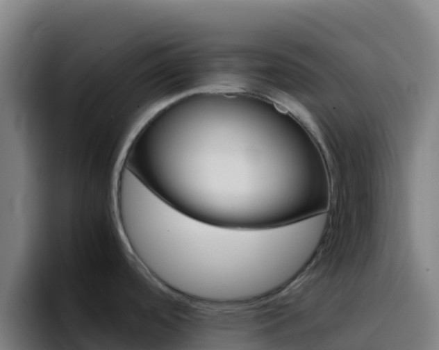 X0000094931488200712061119