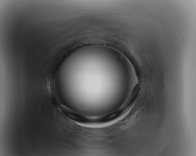 X0000094931490200712061118