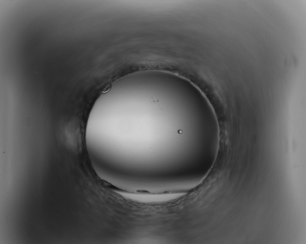 X0000094931493200712061118
