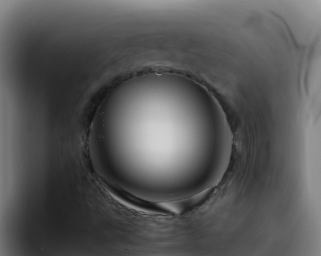 X0000094931495200712061118