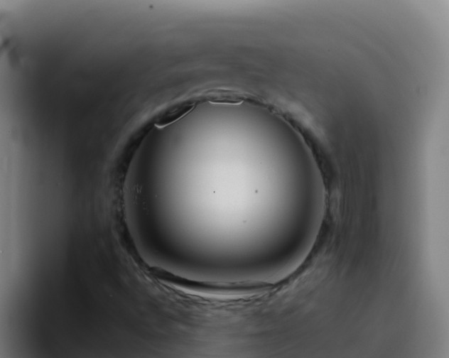 X0000094931496200712061118