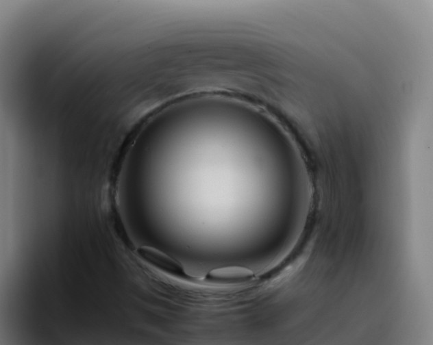 X0000094931497200712061118