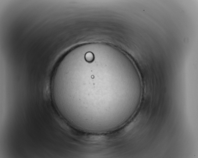 X0000094931498200712061118