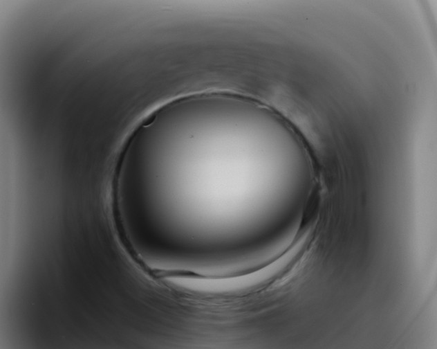 X0000094931500200712061118